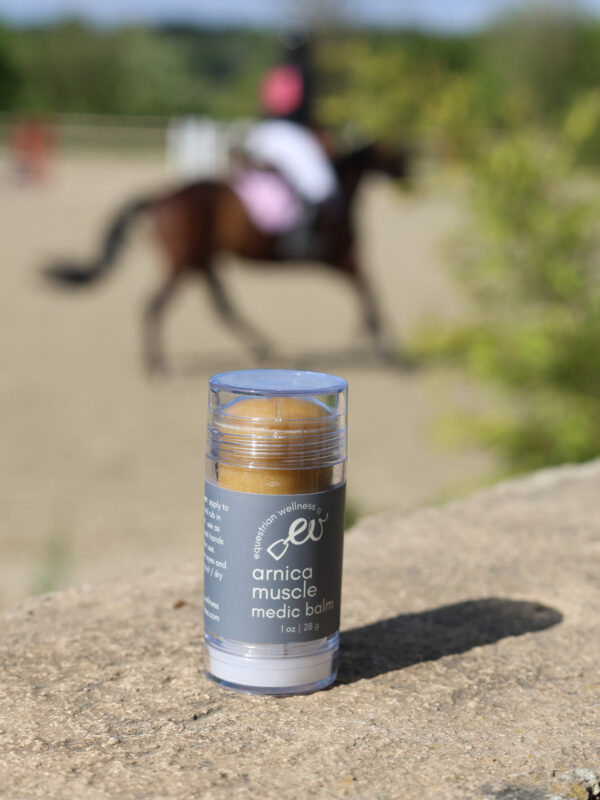 Baume à l'arnica - Stable to City