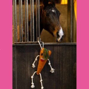 Jouets Fruits et Légumes pour Chevaux - Foodie Friends