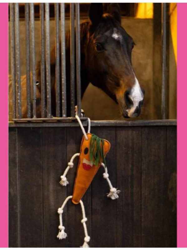 Jouets Fruits et Légumes pour Chevaux - Foodie Friends