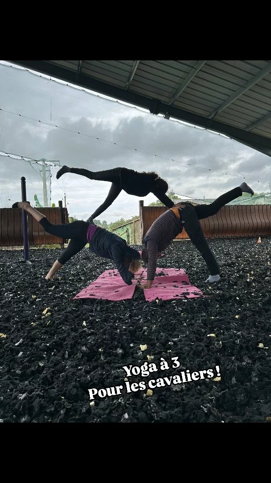 Yoga pour les cavaliers... et cette fois aujourd'hui à trois !🤸‍♀️

Bravo à tous !!!🤸‍♀️💯🏇
Équilibre - Concentration - Souplesse ... et du Courage. 😁

Yoga pour les cavaliers chaque mercredi après-midi proche Mayenne (53) @centre_equestre_haut_feves avec @ridernutrition 

#fun #ridernutrition
#bienetrecavalier