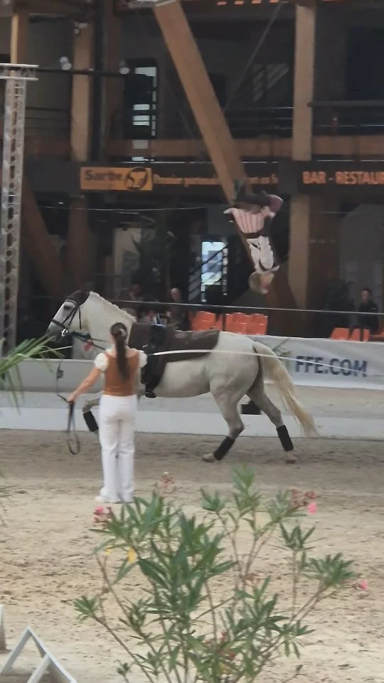 3 Médailles aujourd'hui aux Championnats Amateurs Open de France pour les voltigeurs #teamridernutrition 😉 avec @equietlibre63 et @thiers_voltige_equestre !!🥇🥈🥉 🎊🇲🇫

Félicitations ! ✨️💯🇲🇫🎊

Médaille d'Or : 🥇🇲🇫 Louis et Liam en pas de deux.

Médaille d'argent : 🥈🇲🇫 Louis Amateur 2 minime homme. 

Médaille bronze : 🥉🇲🇫 Équipe Amateur 1

6eme :🎀🇲🇫 Liam en individuel Amateur 1

#ridernutrition #bienetrecavalier #voltige