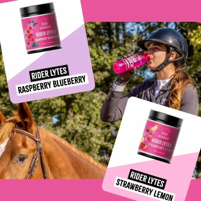 La canicule revient ! 🌞🏇...

Vous donnez sans doute des électrolytes à votre cheval...mais est-ce que vous avez pensé d'en prendre en étant cavalier ?🥤

Disponible en deux saveurs délicieuses, nos Rider Lytes maintiennent une bonne hydratation en sport équestre. 

✅️ Riche en minéraux essentiels tels que le sodium,  le potassium et le magnésium. 

✅️ Aide à  maintenir un équilibre hydrique sain, à soutenir la récupération musculaire.

✅️ Favoise un regain d'énergie.

Ajouter une dose à votre gourde d'eau plat (500 à 750 ml). 🥤

#hydratation
#electrolytesupplement ##bienetrecavalier ##ridernutrition #sportsnutrition