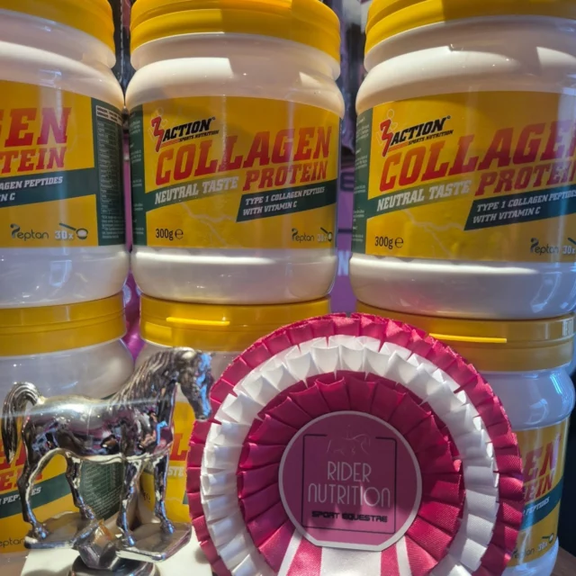 Savez-vous l'importance du Collagène pour nous les cavaliers? 💫🏇 Cherchez-vous plus de confort à cheval et après vos séances ?

N'oubliez pas... l'équitation est bien un sport !
De prendre soin de vous a autant d'importance que de prendre soin de votre cheval. C'est bien un sport d'equipe. D'avoir un cavalier bien en forme avec un confort optimal fait toute la différence pour la performance et le plaisir de monter. ✨️

Le Collagen Protein est une poudre (facile à mélanger avec votre Rider Food par exemple) c'est sans goût et c'est la protéine qui contribue à la collaboration entre les muscles, tendons, ligaments, os et peau, elle apporte force et élasticité et est primordiale pour la régénération du cartilage. 

Sa production diminue naturellement avec l'âge...à partir de 25ans. Ça vous parle ? 🦵💥😐

Disponible en format poudre ou sous forme pratique de shots.✅️ Disponible en ligne et en magasin.🛍
www.ridernutrition.net (lien en bio).

#collagen #confortacheval #bienetrecavalier #riderwellbeing #ridernutrition