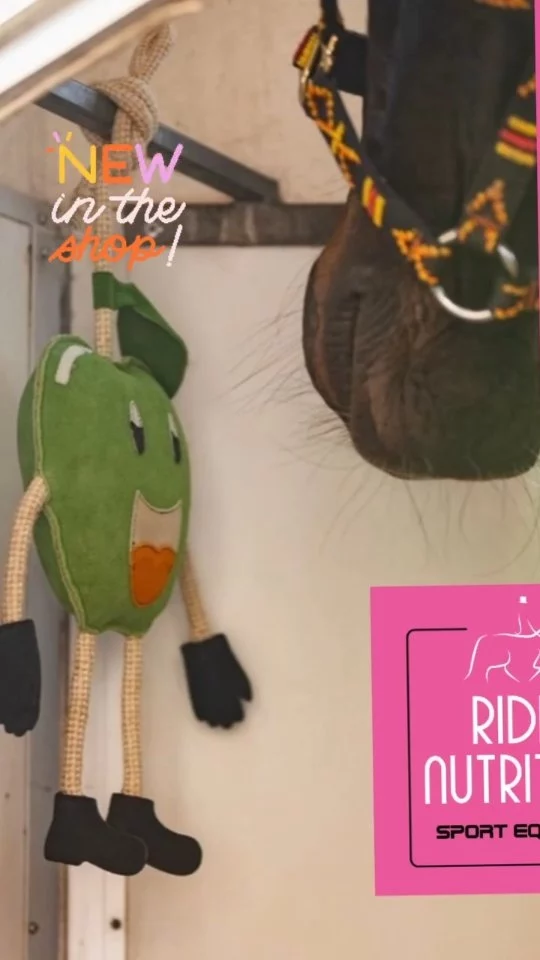 Nouveauté @ridernutrition - des jouets fruits et légumes pour votre cheval ! 🤗🥕🍏🍓 Disponible en boutique et bientôt en ligne. 

New in @ridernutrition - Fruit and veg toys for your Horse ! 🤗🍓🍏🥕 Available in store and coming soon on line.