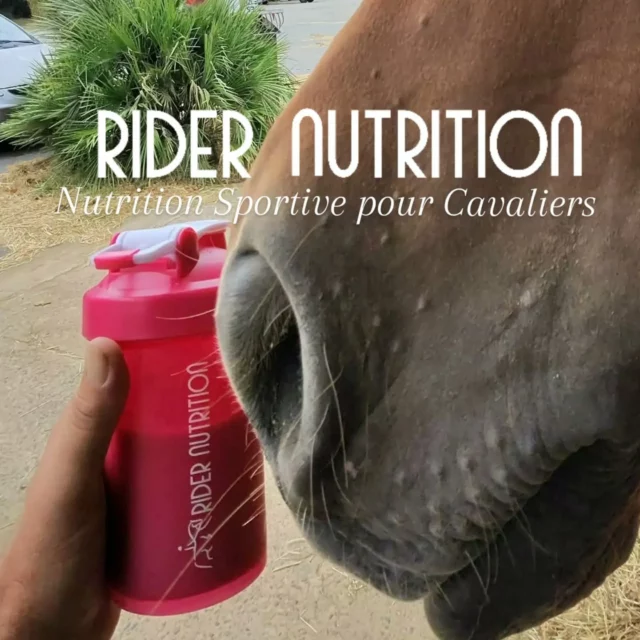 Nous sommes les premiers !✨️🥤
Leader en nutrition sportive pour cavaliers. Une gamme créée spécifiquement pour nos besoins en sport équestre.

Disponibles en boutique et en ligne 
www.ridernutrition.net (lien en bio) 📦
Contactez-nous ici pour des conseils gratuits. 

🇬🇧
We're the first ! ✨️🥤
Leaders in Sports Nutrition for Equestrians.  A range of products specifically created for our requirements as equestrians.

Available in store or online www.ridernutrition.net (link in bio) 📦 Contact us for free tips and advice here 

#ridernutrition #nutritionforequestrians 
#sportsnutrition #nutritionsportivepourlescavaliers
